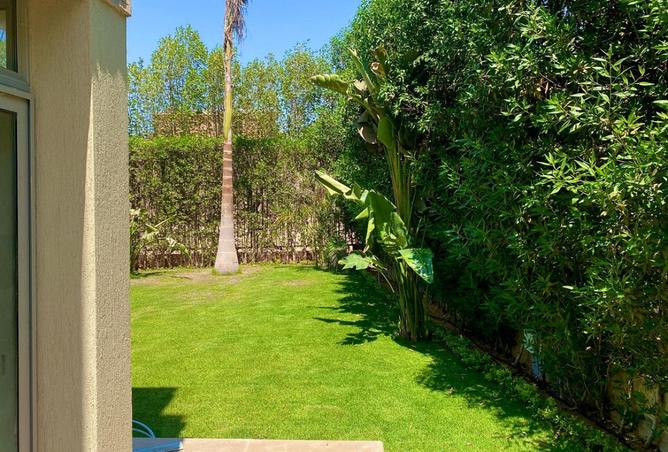 8156590 - صورة العقار 2