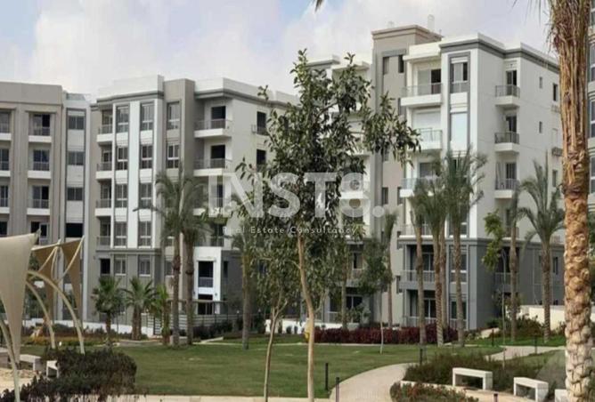 8250061 - Property Image 3