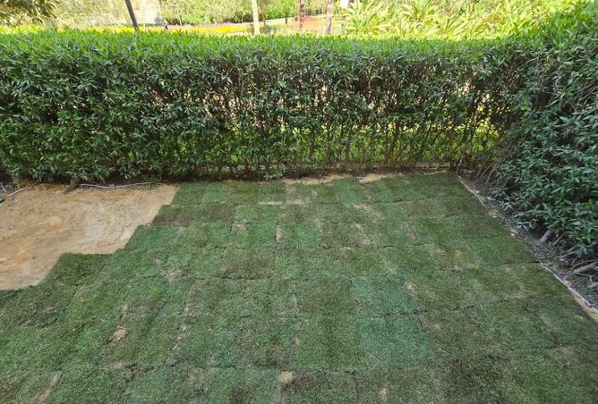 8084431 - Property Main Image