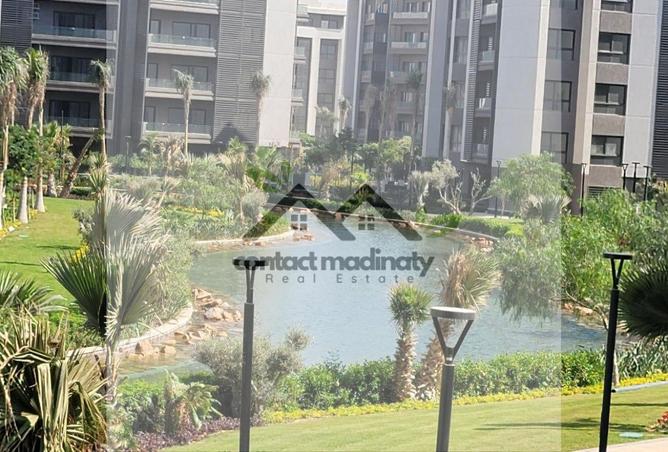 8303977 - صورة العقار 2