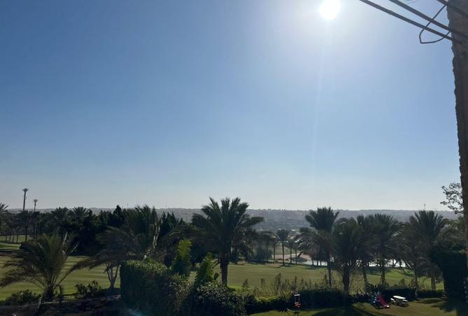 8191453 - Property Image 3