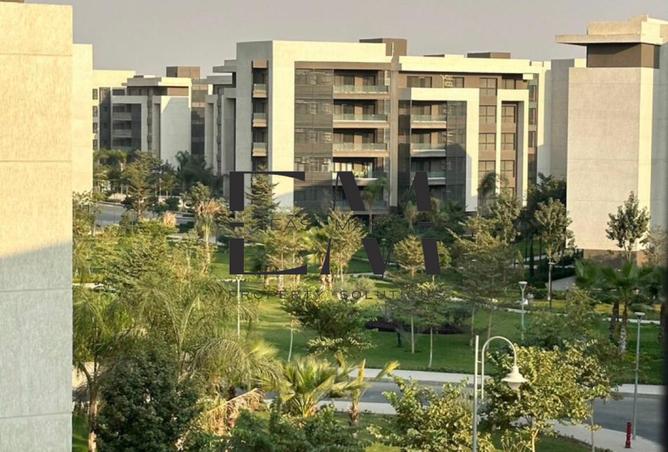 8064994 - Property Image 3