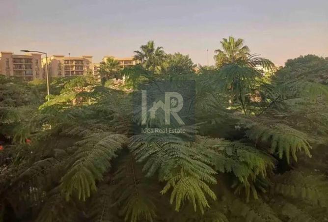 8029119 - Property Image 2
