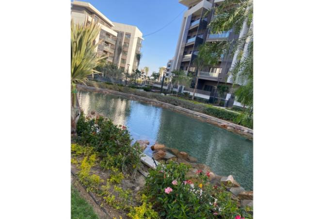 8258723 - صورة العقار 3