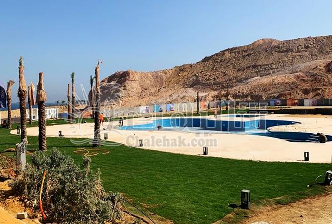 8037119 - الصورة الرئيسية للعقار