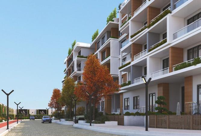 8242698 - Property Image 3