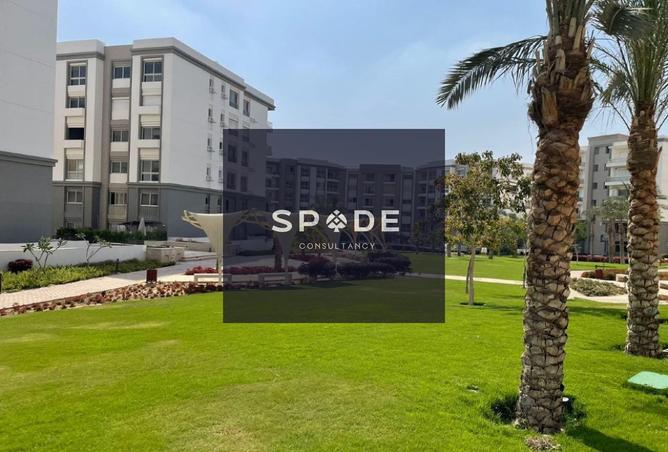 8341112 - Property Image 3