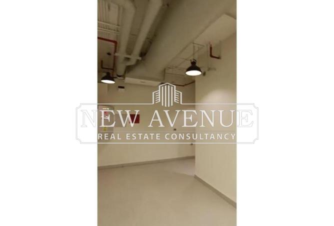 8017173 - Property Image 3