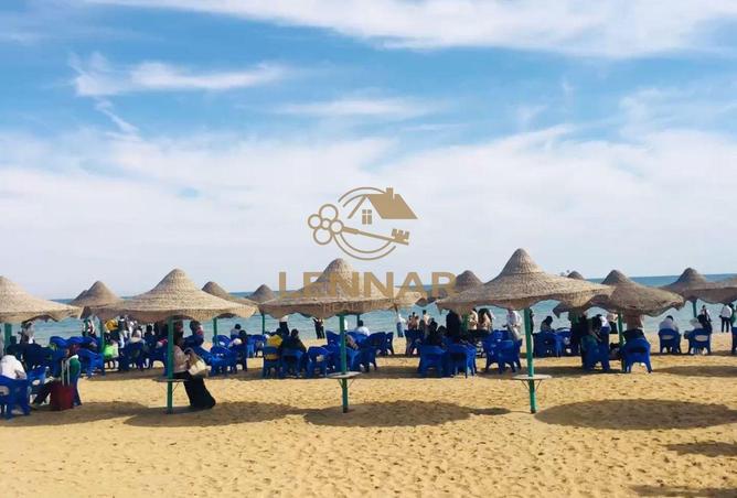 8081648 - صورة العقار 3