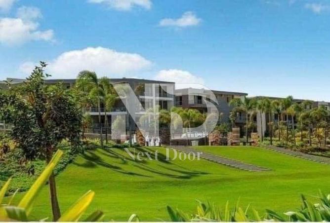 8386536 - صورة العقار 3