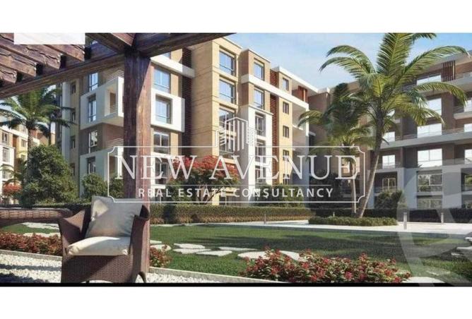 8236535 - Property Image 3