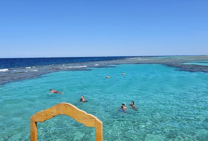 8170051 - صورة العقار 3