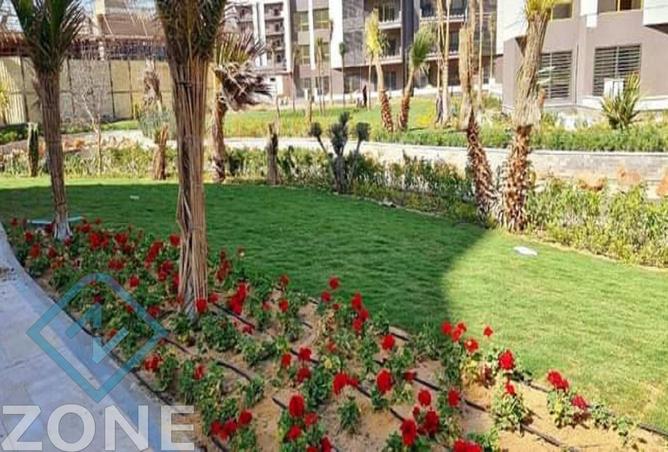 8245310 - صورة العقار 2