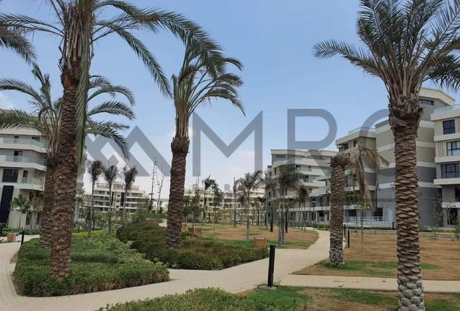 8031267 - صورة العقار 2