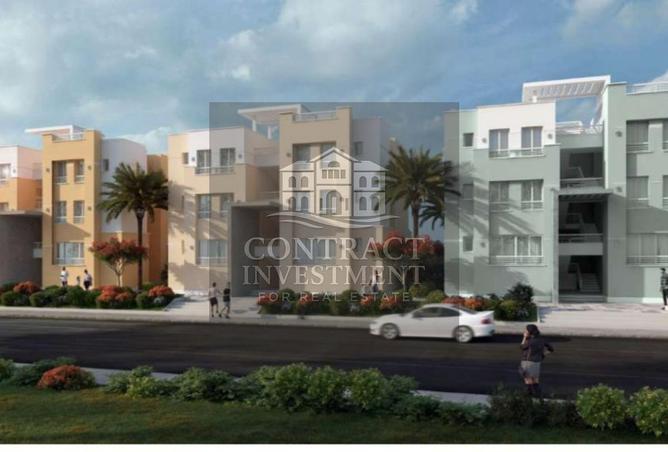 8306776 - Property Image 3