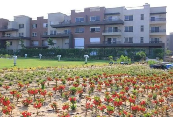 8460666 - Property Image 3