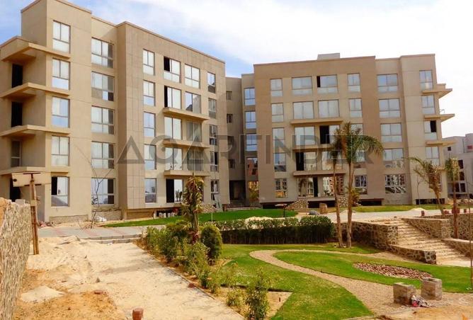 8386238 - Property Image 2