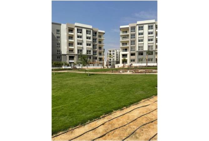 8049265 - صورة العقار 2