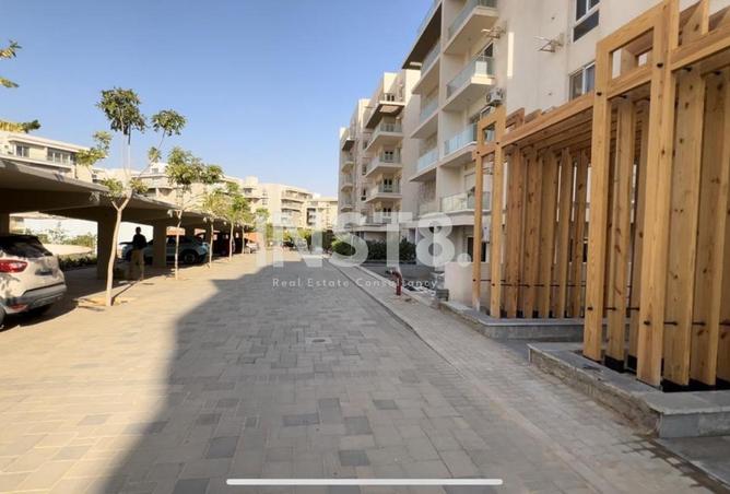 8041930 - صورة العقار 3