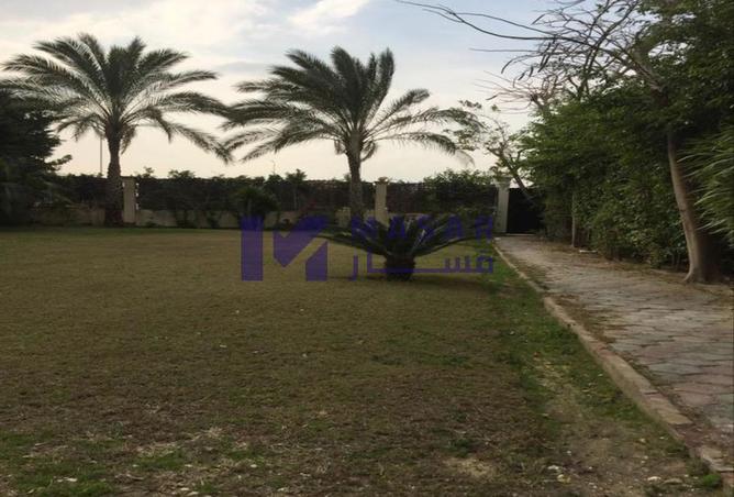 8199973 - صورة العقار 3