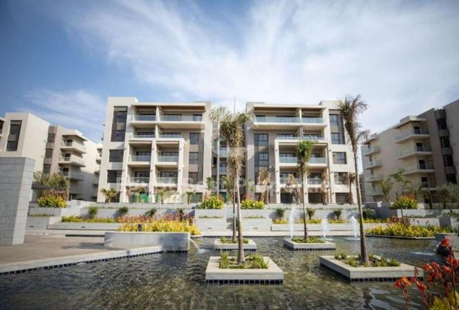 8031241 - Property Image 3