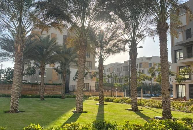 8462607 - صورة العقار 3