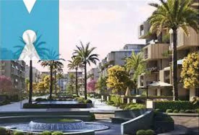 7981747 - Property Main Image