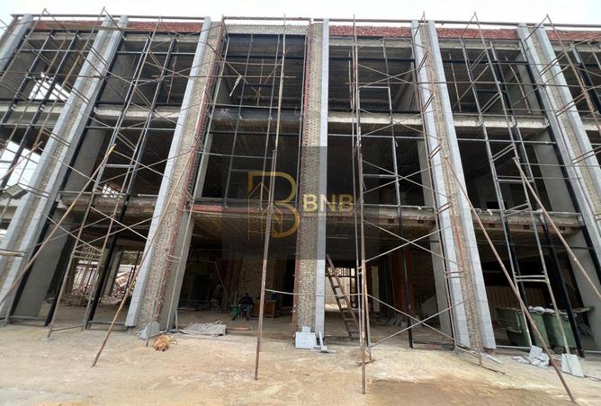 8193174 - صورة العقار 2