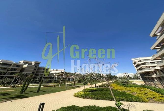 8199598 - Property Image 3