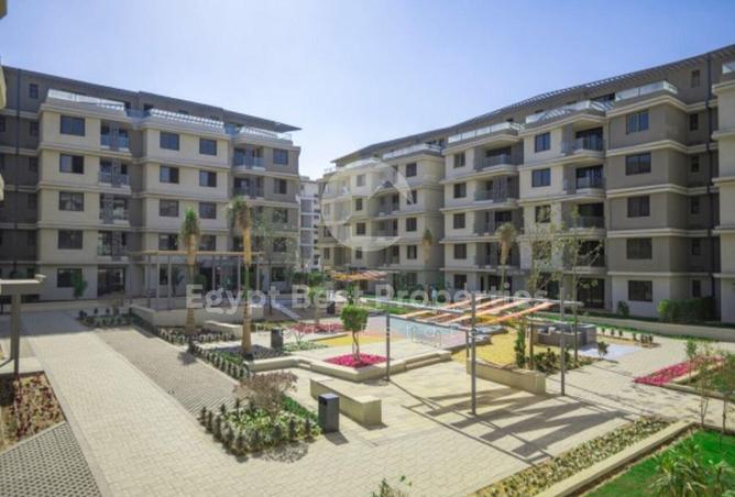 8474224 - Property Image 3