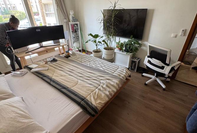 8433406 - Property Image 3