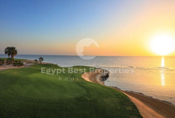 8475519 - Property Image 3