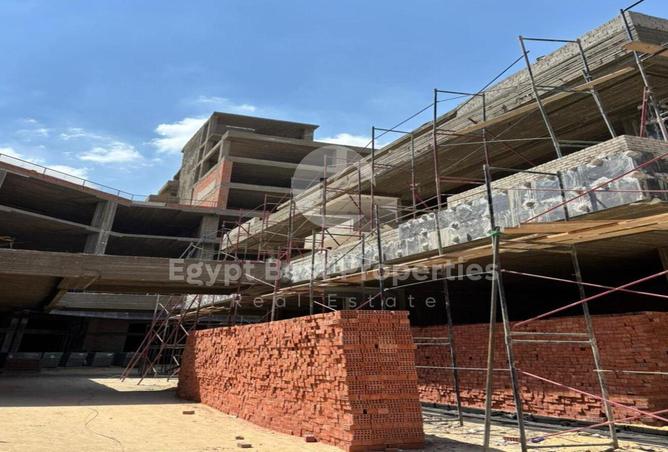 8057284 - Property Image 3