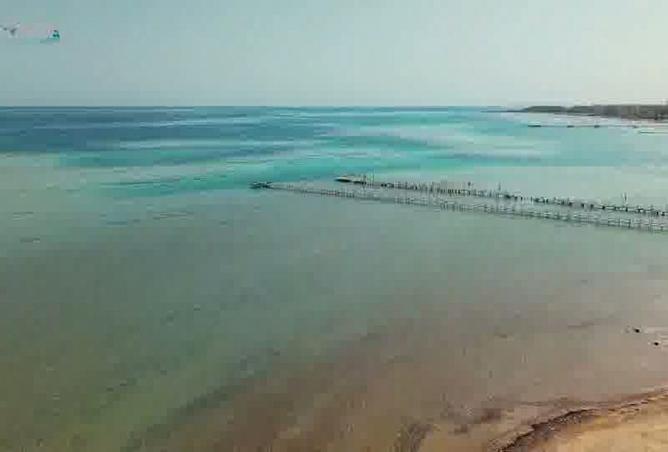 8205092 - Property Image 3