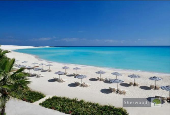 8296551 - الصورة الرئيسية للعقار