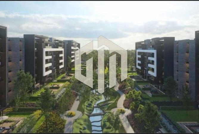 8077629 - Property Image 2