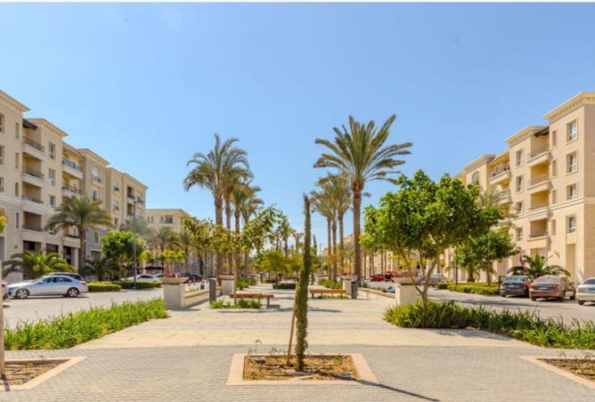 7909452 - صورة العقار 3