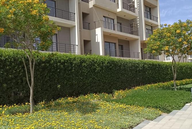 8454897 - Property Image 3