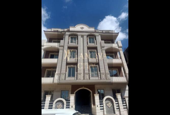 8432971 - Property Image 3