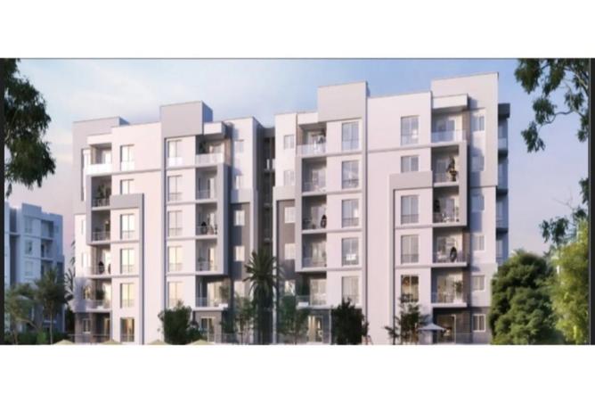 8493365 - Property Image 3