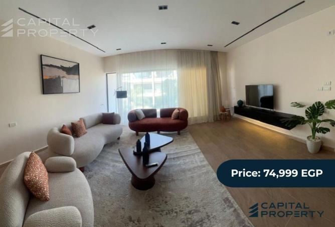 8381072 - Property Image 3