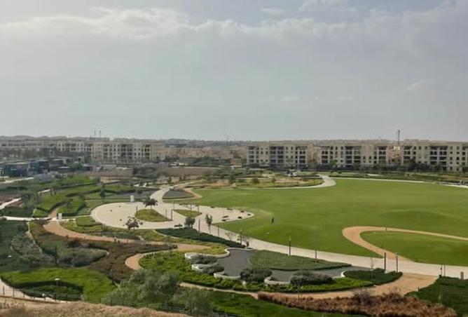 8162599 - Property Image 3