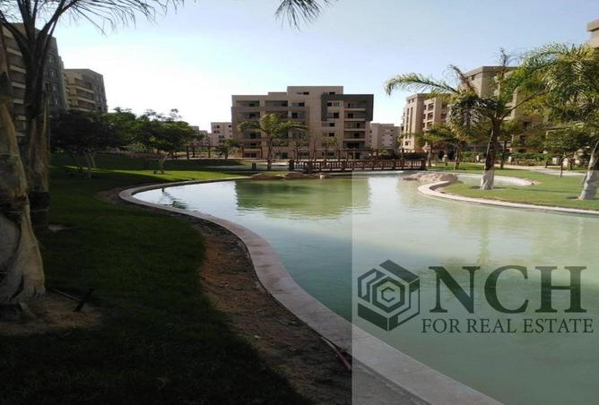 8405431 - Property Image 3