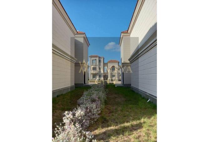 8172036 - صورة العقار 3