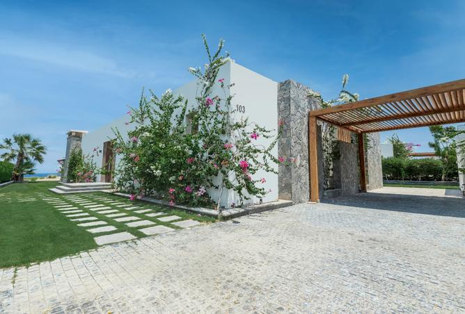 8389135 - صورة العقار 3