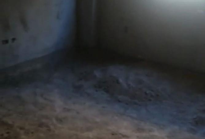 8437699 - صورة العقار 3