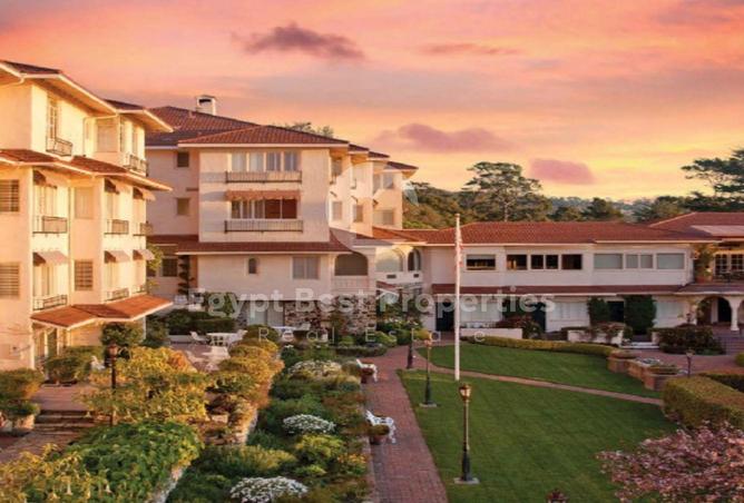 8196767 - Property Image 2