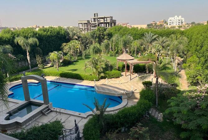 8406598 - صورة العقار 2