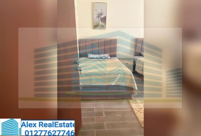 7833758 - Property Image 2