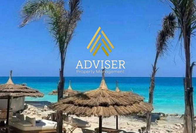 8248119 - Property Image 3